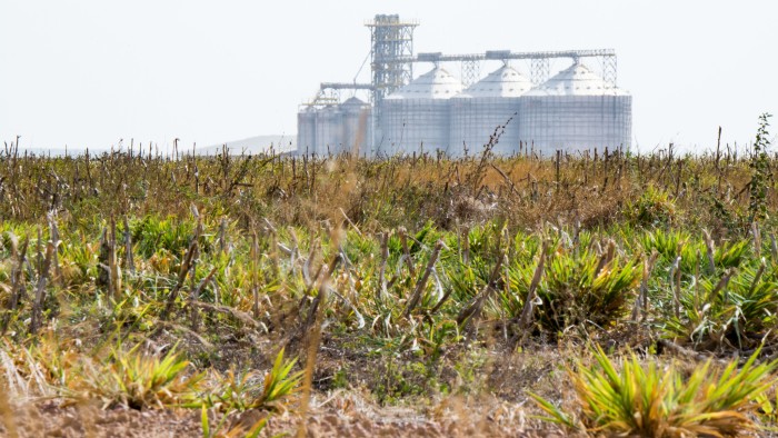 Soy farm in Brazil