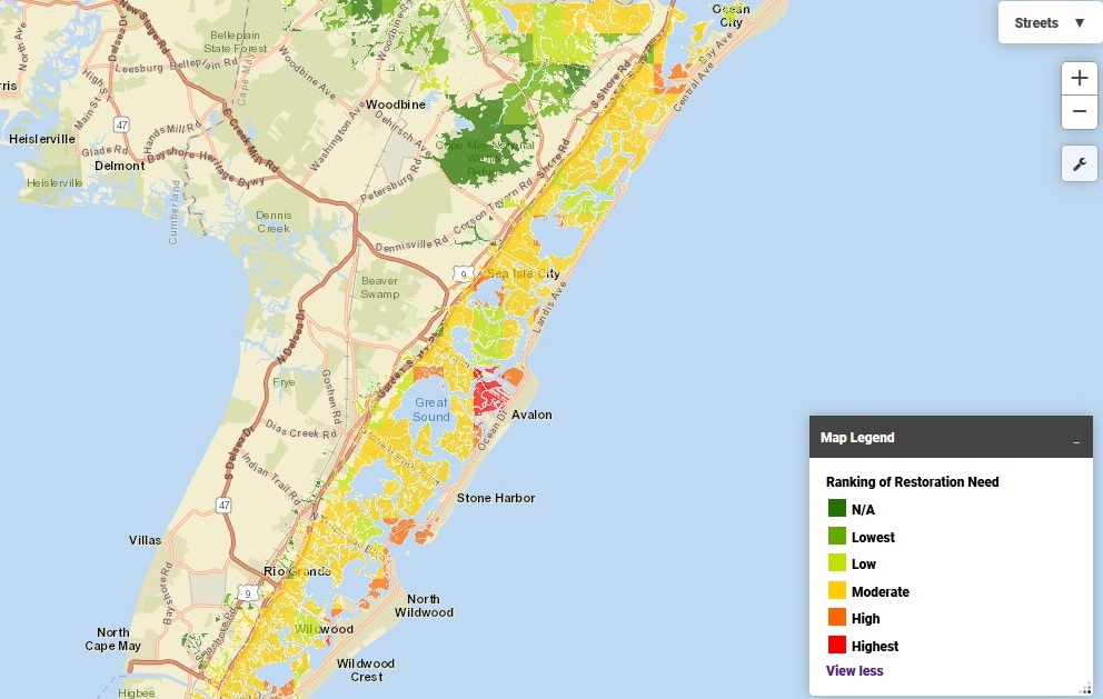 Cape May shoreline ecosystem fragility