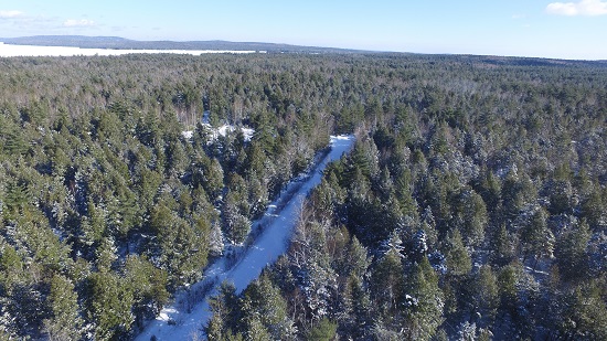 Downeast Land Trust