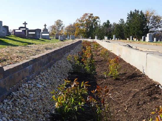 Mount Olivet cemetery stormwater project, District of Columbia