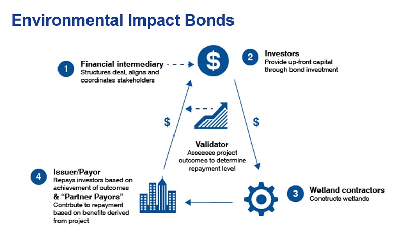 Structure of Louisiana Environmental Impact Bond