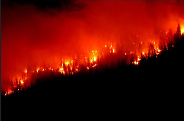 Sherwin Fire at Inyo National Forest