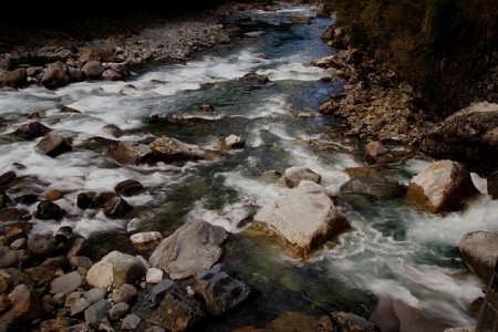 Hollyford River Thumbnail