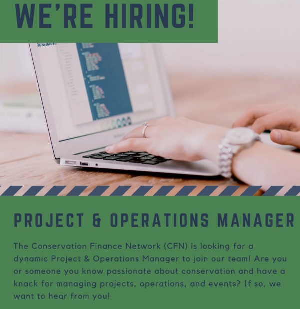 Project & Operations Manager