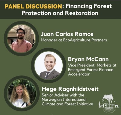 Speakers at Yale's tropical forest conference sought new financial force.
