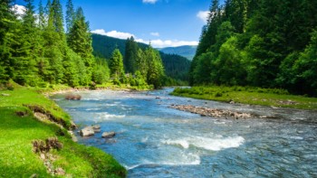 You can also read a river as a bundle of food, filtration, resilience and job creation.