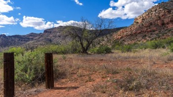 Cocoino National Forest in Colorado