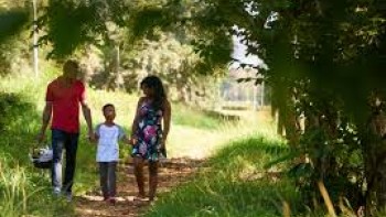 How do you sum the value of everything in, from, and under these trees?