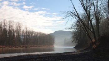 Cash flows and rivers flow