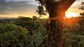 Recovery across the world came before a panel of experts at Yale in January. 