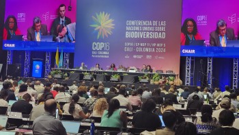 COP16