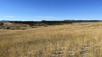 Picture of Montana Ranch, The Climate Trust Grassland Deal