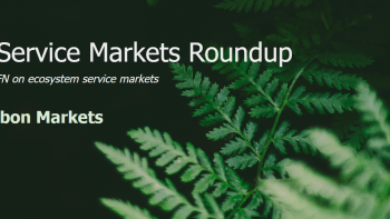 Q1 2025 Ecosystem Service Markets visual