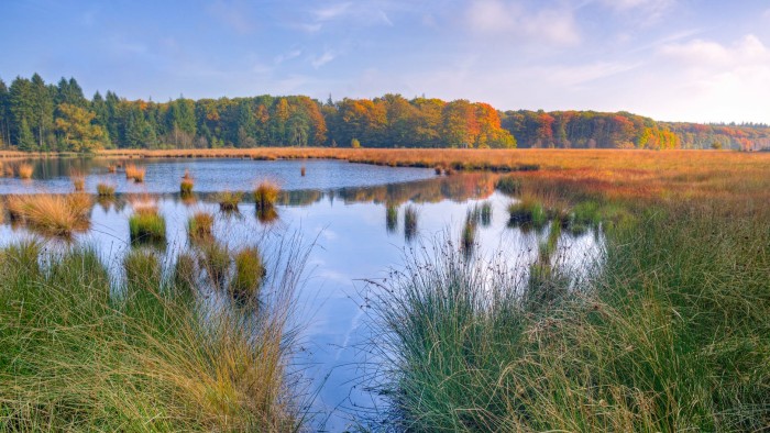 Environmental Impact Bonds