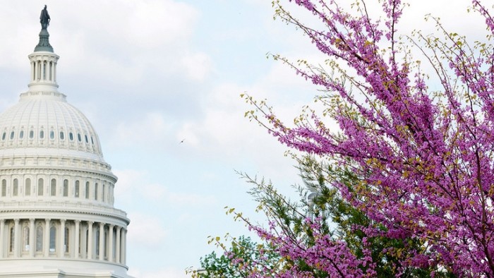 US capitol