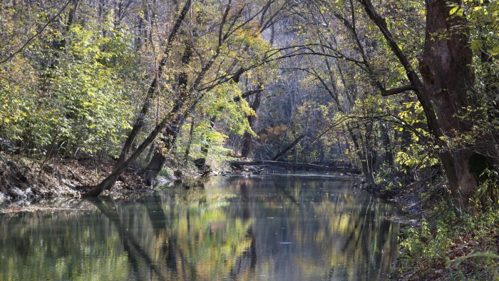Wayne National Forest