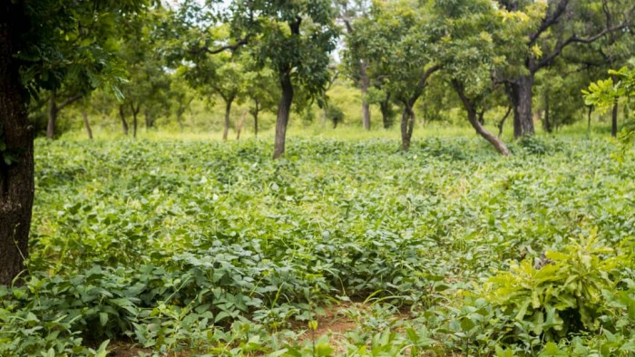 Where careers and cycles grow?