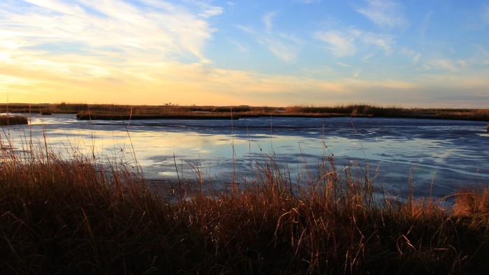 This reflects the ecosystems that can gain clarity- and investors- in Maryland