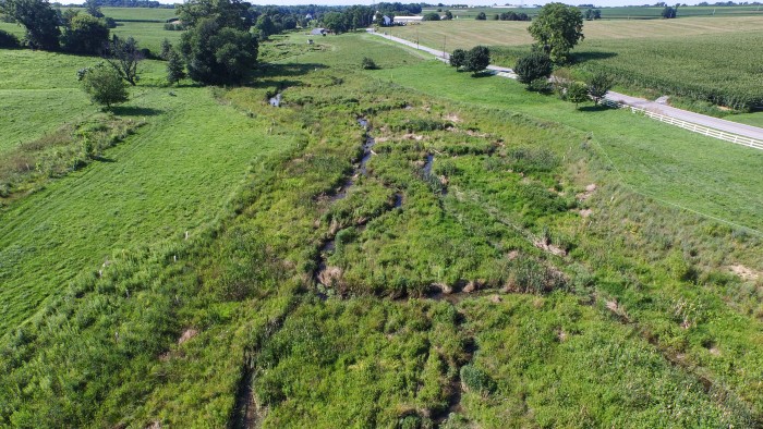 BIg Spring Run development site, with wetlands
