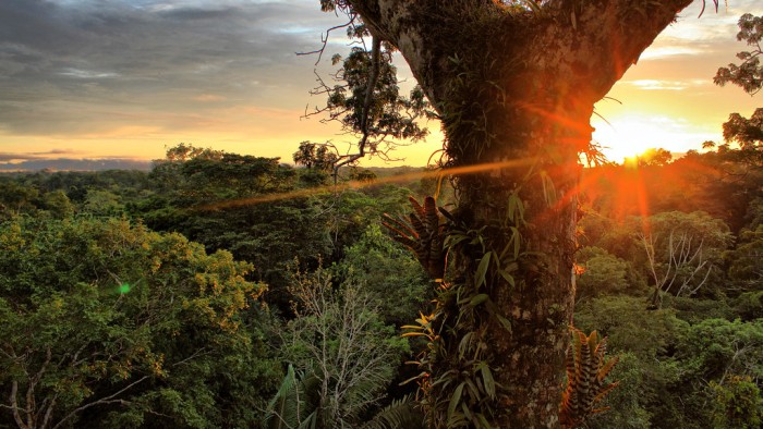 Recovery across the world came before a panel of experts at Yale in January.