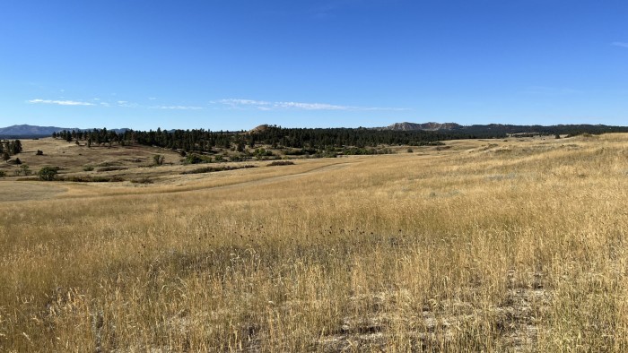 Picture of Montana Ranch, The Climate Trust Grassland Deal 
