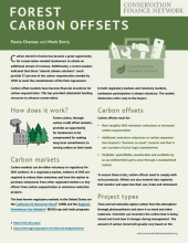 CBEY CFN Toolkit Forest Carbon Offsets