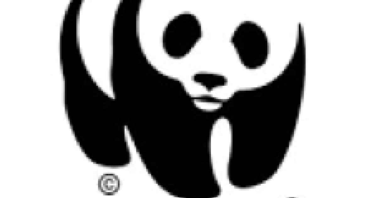 WWF Summer Internship Information Session Conservation Finance Network