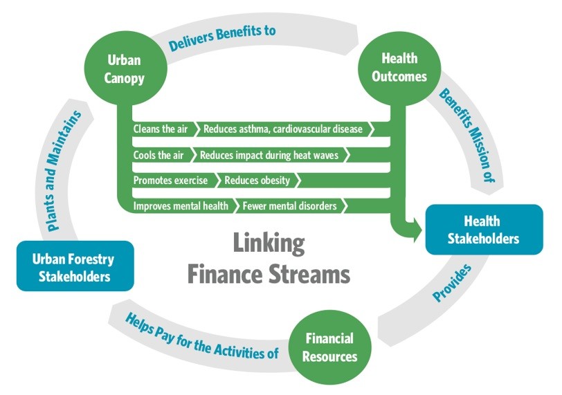 Schematic showing how urban forestry financing operates