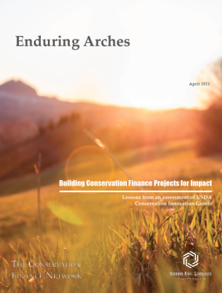 Enduring Arches: Building Conservation Finance Projects for Impact