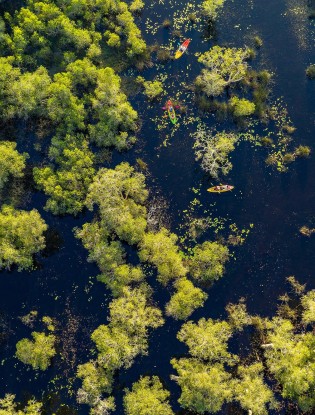 Areal view of people kayaking on a river in a forested area