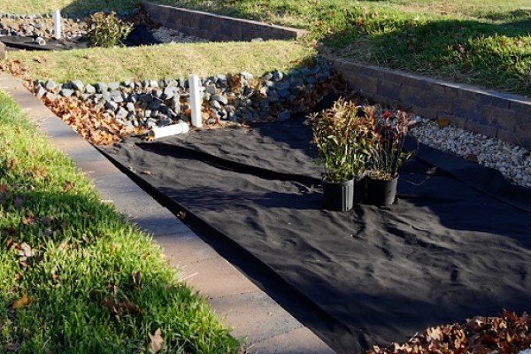 Rain gardens built by District Stormwater