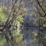 Wayne National Forest